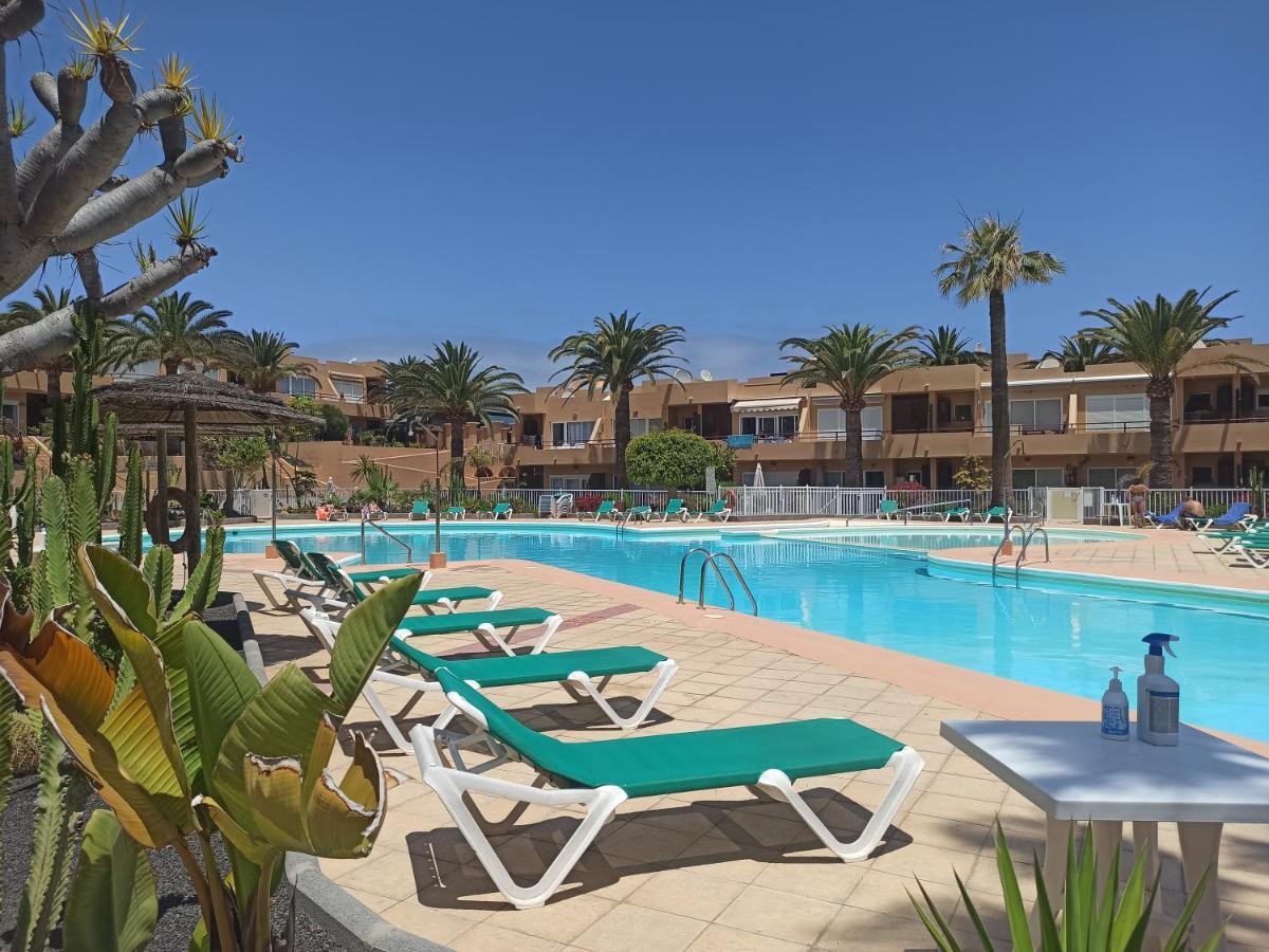 Alicebungalowpoolview-Summer Corralejo Eksteriør billede
