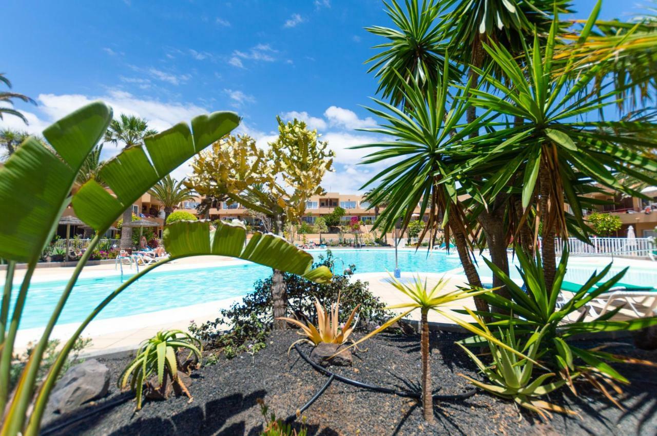 Alicebungalowpoolview-Summer Corralejo Eksteriør billede