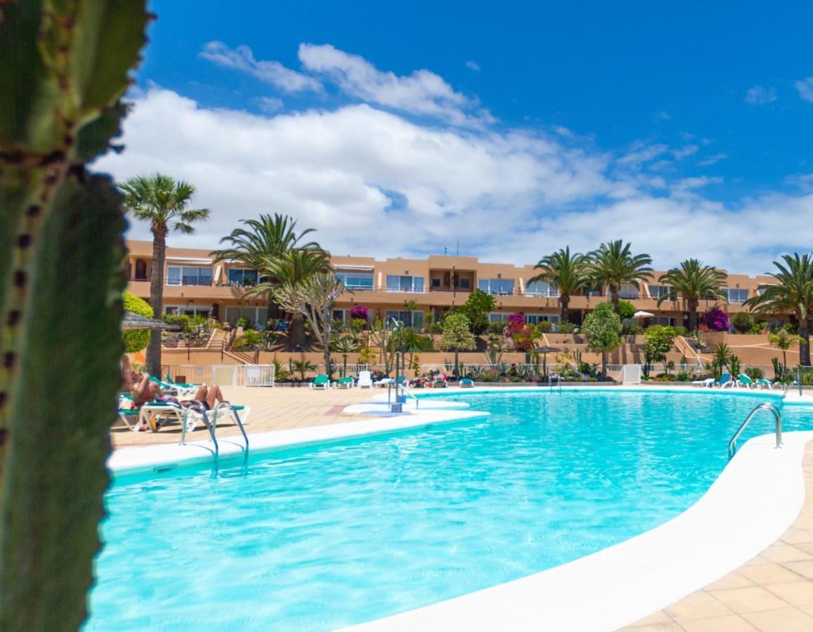 Alicebungalowpoolview-Summer Corralejo Eksteriør billede